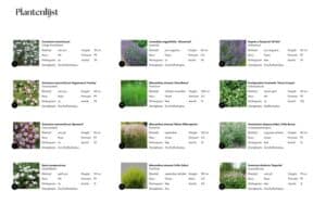 Plantenlijst beplantingsplan