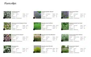 Plantenlijst beplantingsplan