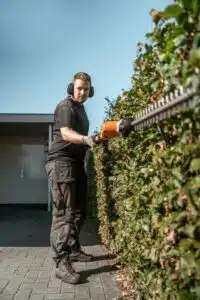Tuinonderhoud snoeien