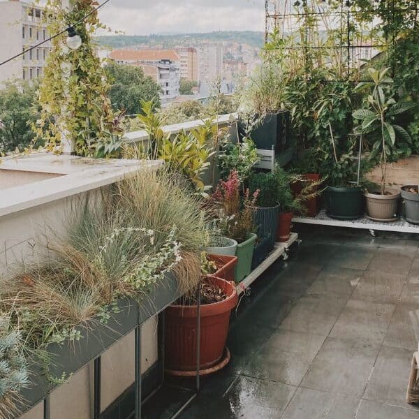 Balkon groen inrichten