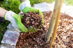 Mulch van bladeren en takken