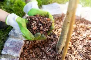 Mulch van bladeren en takken
