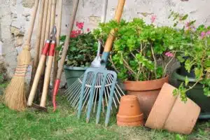 Tuin voorjaar klaar maken tips
