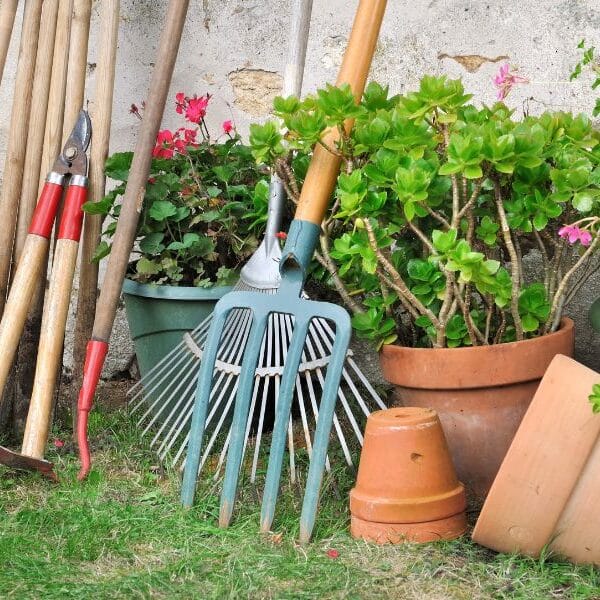 Tuin voorjaar klaar maken tips