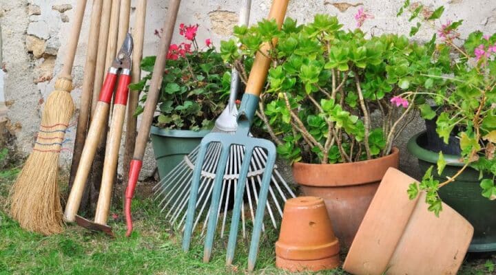 Tuin voorjaar klaar maken tips