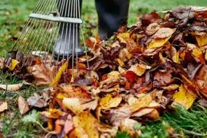 Voorjaarsschoonmaak tuin