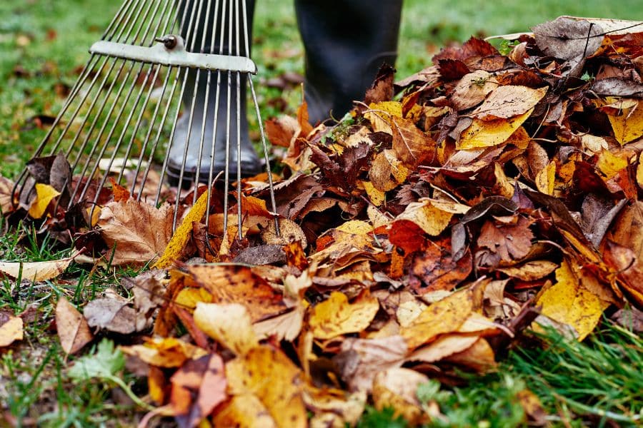 Voorjaarsschoonmaak tuin