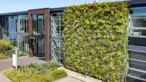 Greenwall bedrijfspand buiten