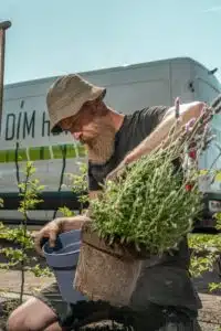 Tuin laten aanleggen door DIM