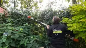 Tuinonderhoud Groningen en Friesland