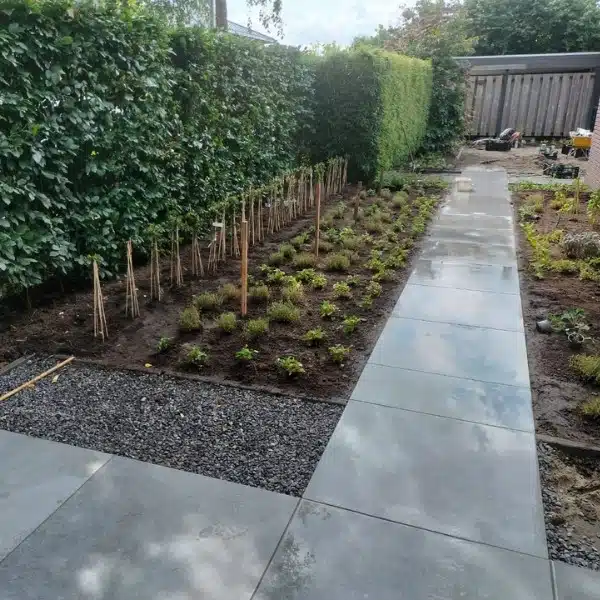 Beplanting voor biodiversiteit Beplanting voor biodiversiteit