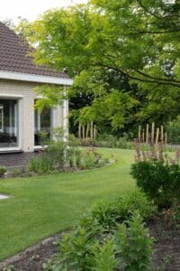 Droomtuin met borders