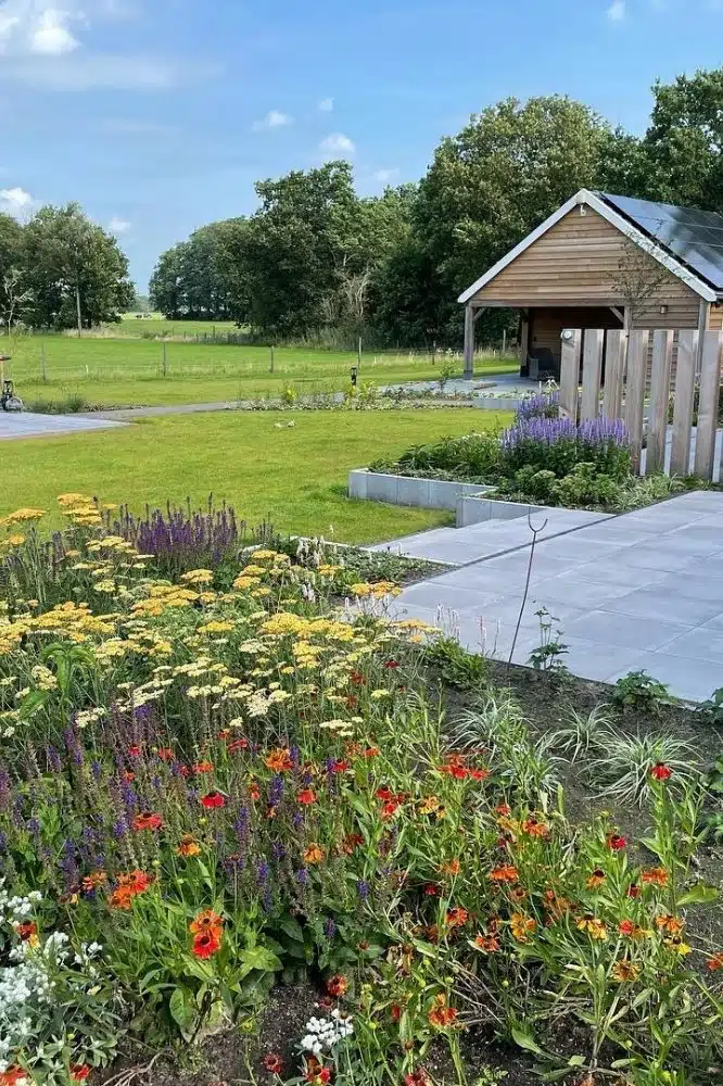 Duurzame tuin met wilde bloemen