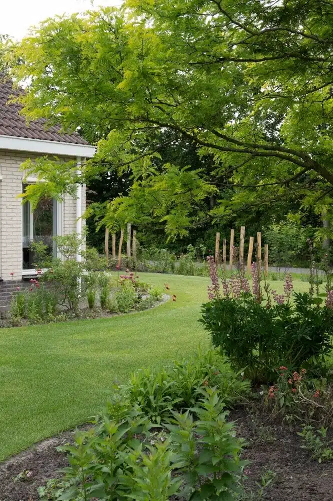 Groene achtertuin met sierlijke border