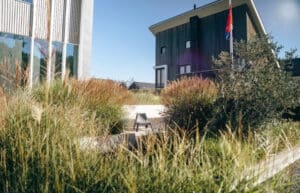 Groene tuin Heerenveen