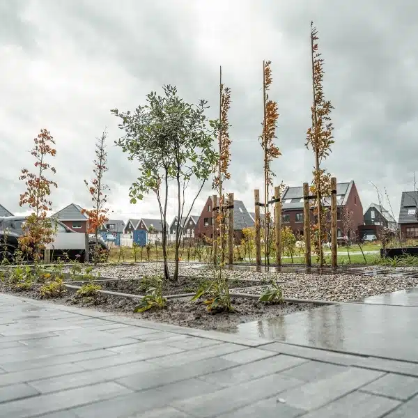Nieuwbouw voortuin Nieuwbouw voortuin