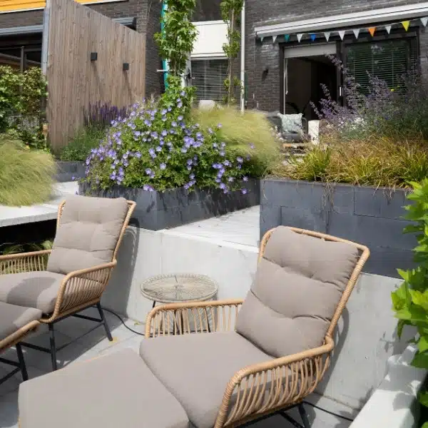 Terras Haren Terras Haren