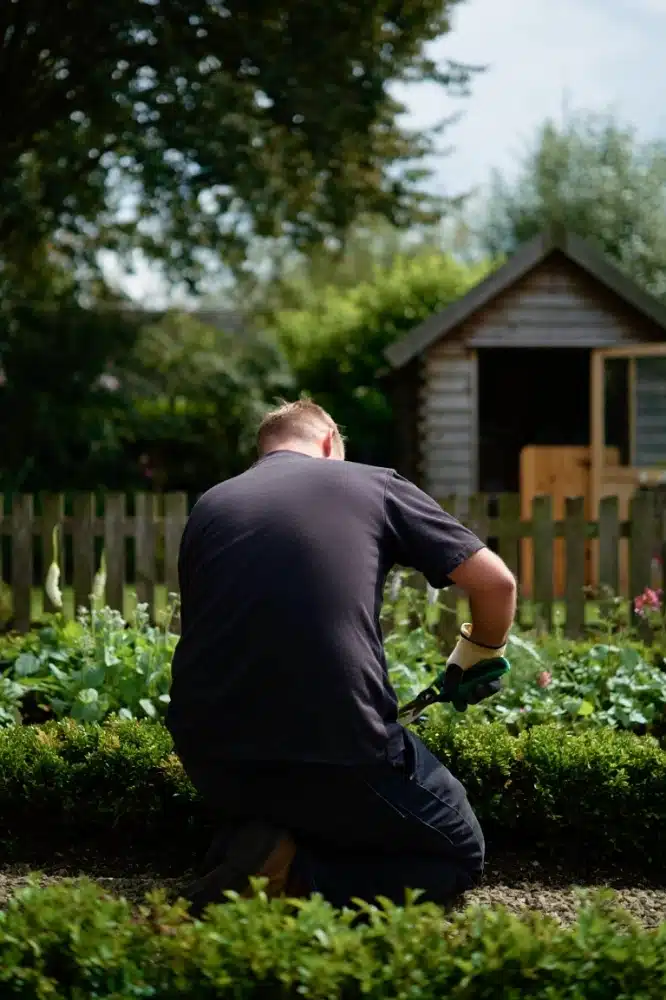 Tuinonderhoud DIM