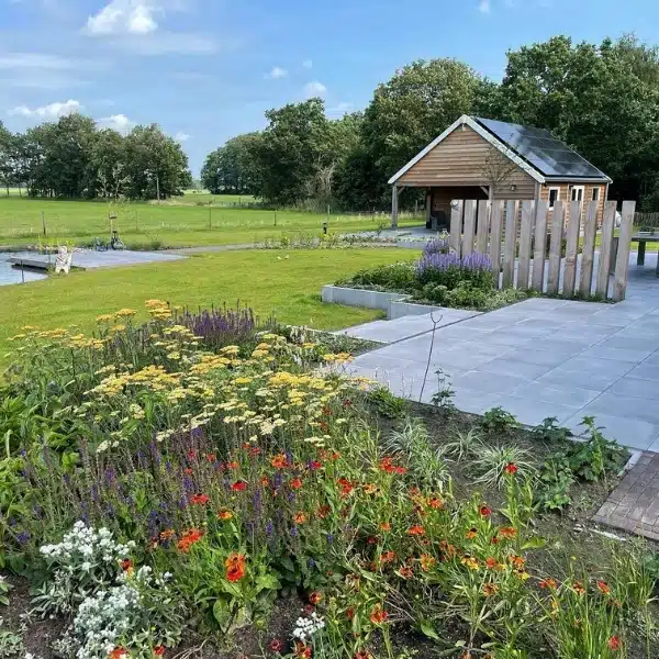 Wilde bloemen tuin