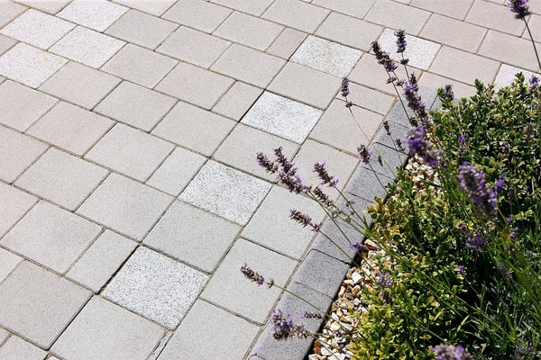 Grijze tegels met beplanting