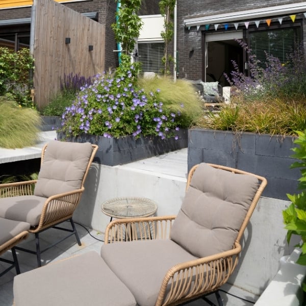 Terras Grootegast