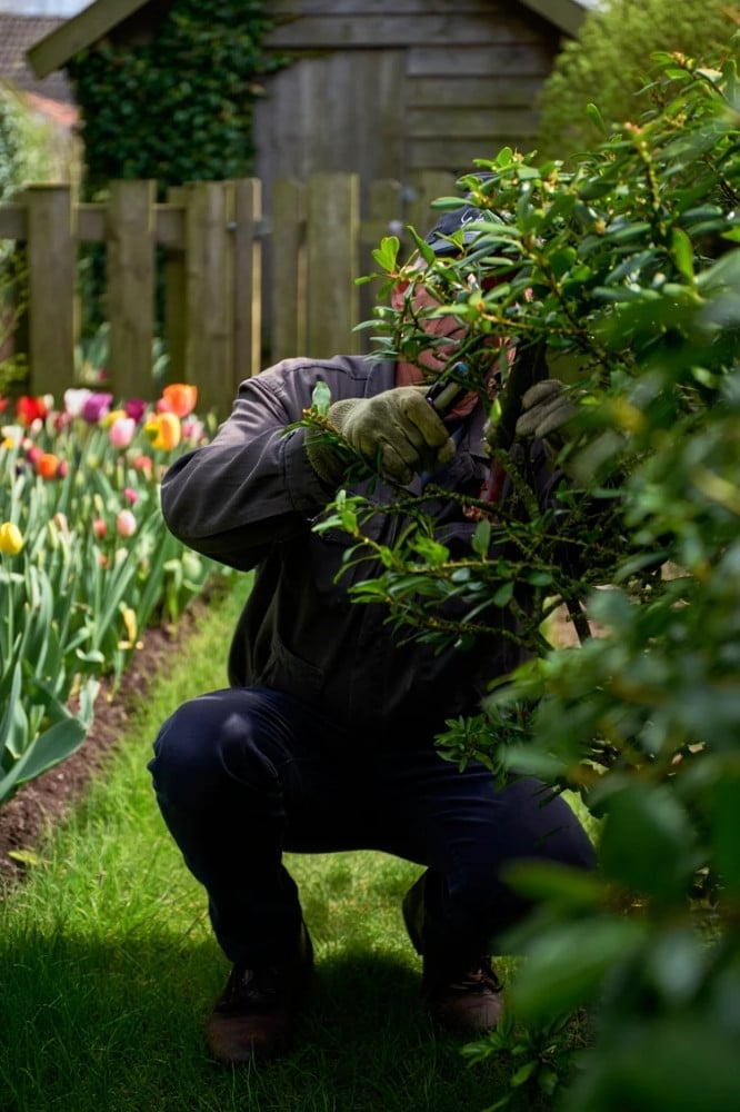 Tuinonderhoud in Grootegast