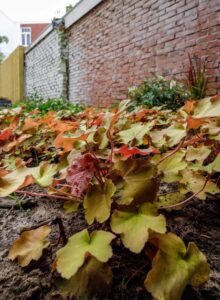 Najaarsonderhoud met bladruimen door DIM Hovenier