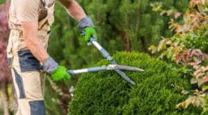 Abonnement tuinonderhoud inclusief snoeiwerk door DIM Hovenier