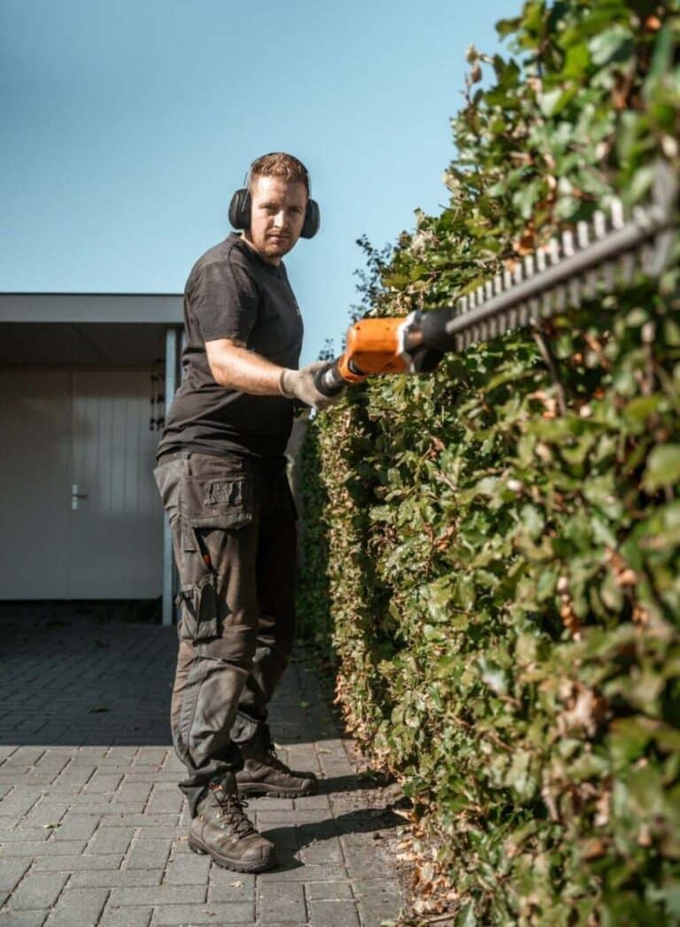 DIM Hovenier verzorgt strak haagonderhoud