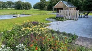 Groene tuin met wilde bloemen