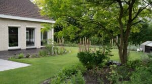 Achtertuin met boom en strak gazon verzorgd door DIM Hovenier