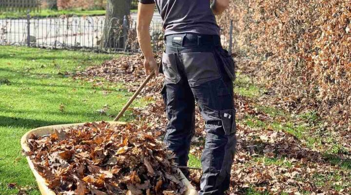 Hovenier van DIM Hovenier voert tuinonderhoud uit in Drachten