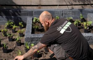 Beplanting van vaste planten in moderne tuin in Friesland
