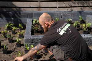 Tuinaanleg met beplanting