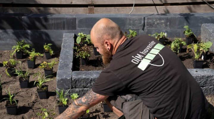 Tuinaanleg met beplanting