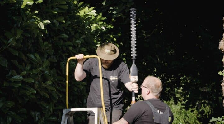 Abonnement tuinonderhoud snoeiwerk noord nederland