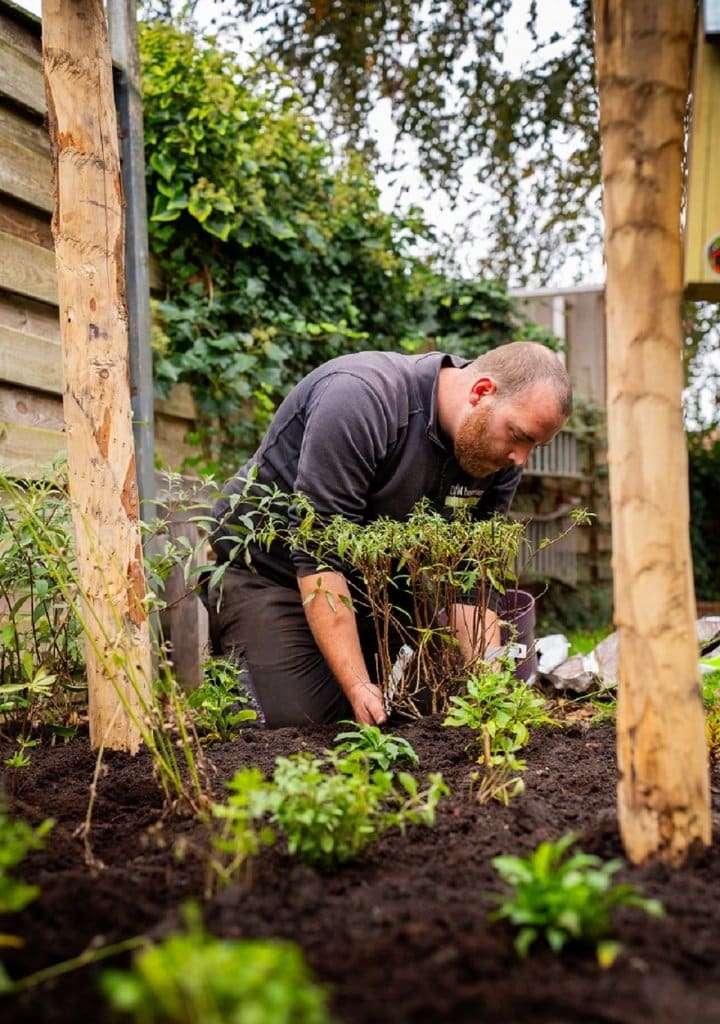 Beplanting aanleggen hovenier