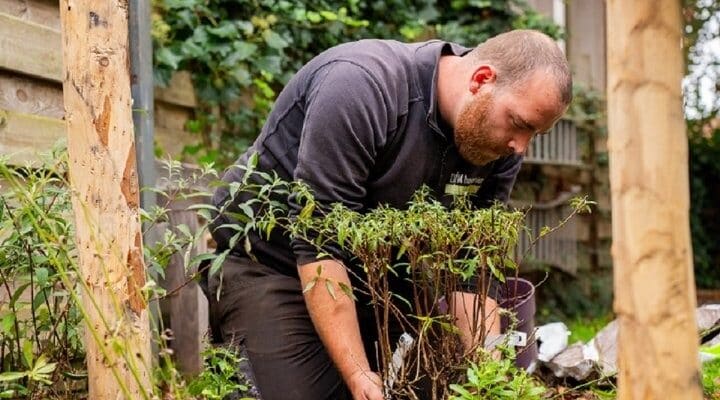 Beplanting aanleggen hovenier