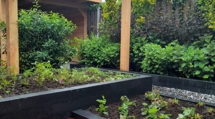 Onderhoud vriendelijke tuin