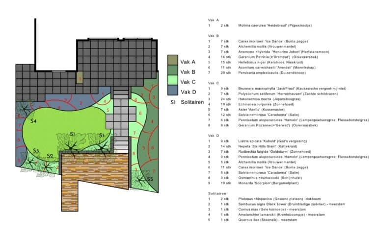 Beplantingsplan DIM Hovenier