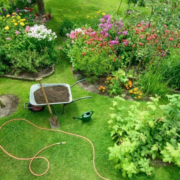 Complete gids voor tuinonderhoud