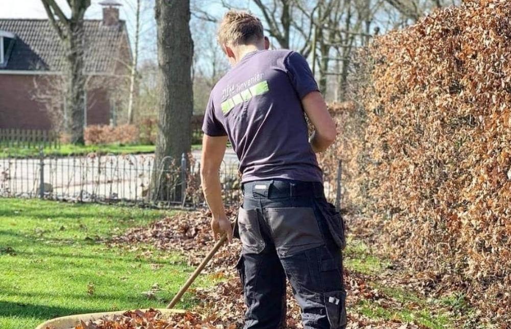 Herfstonderhoud: bladeren verwijderen en gazon schoonmaken