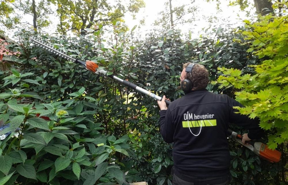 Strakke hagen door professioneel tuinonderhoud Groningen