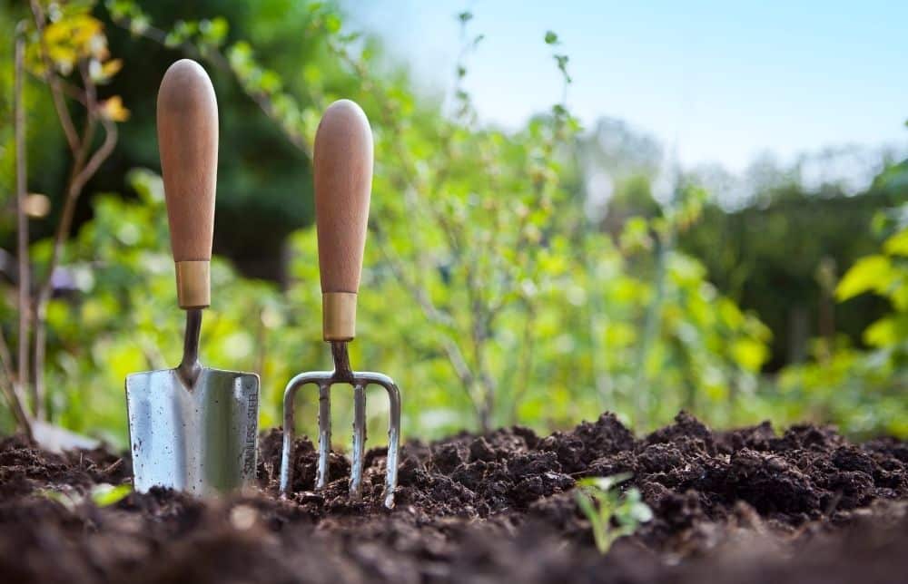 Snoeischaar, handschoenen en hark voor hovenierswerk