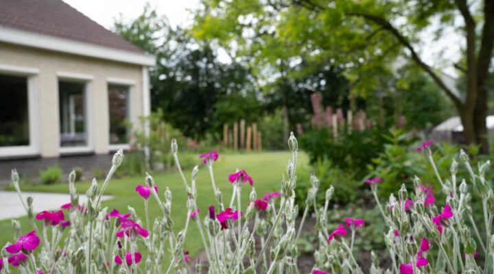 Tuinonderhoud uitgevoerd door DIM