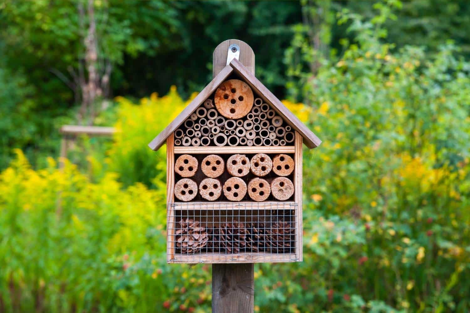 Tuin met aandacht voor biodiversiteit