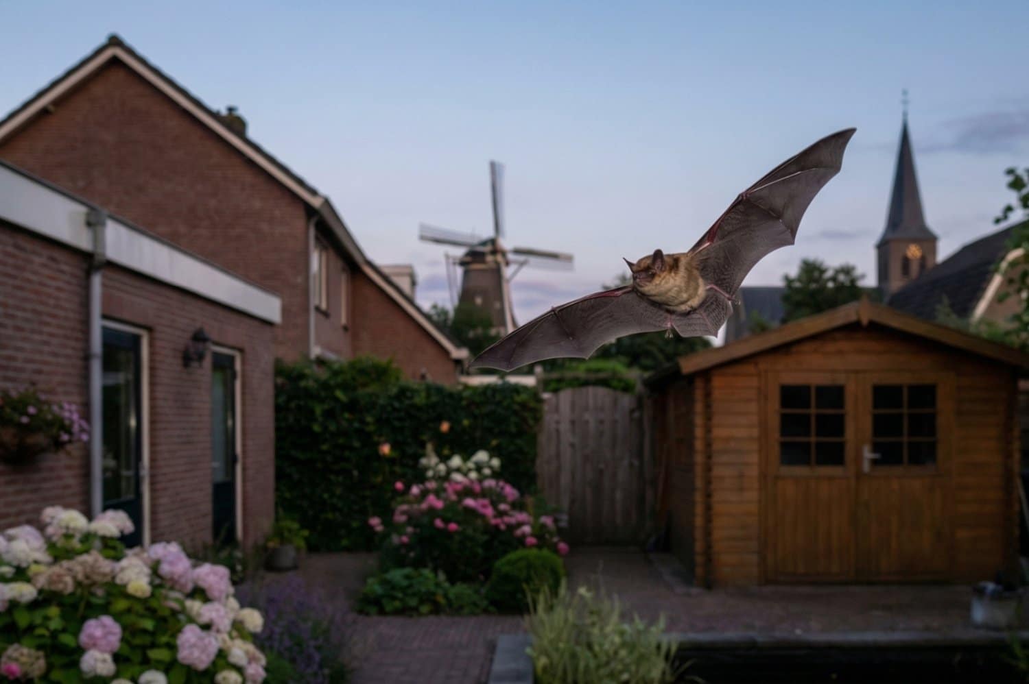 Vleermuizen in een diervriendelijke tuin