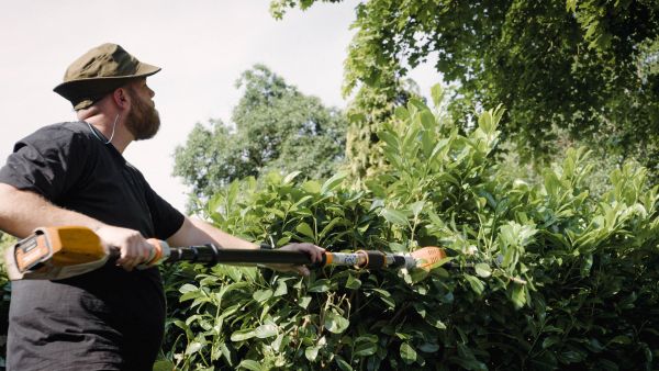 Demannenvandim tuinonderhoud Leek