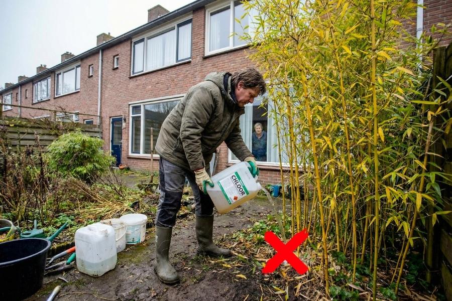 Man verwijdert bamboe op verkeerde manier met chloor